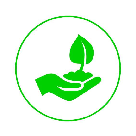 The image presents a representation of a hand delicately holding a plant seedling.